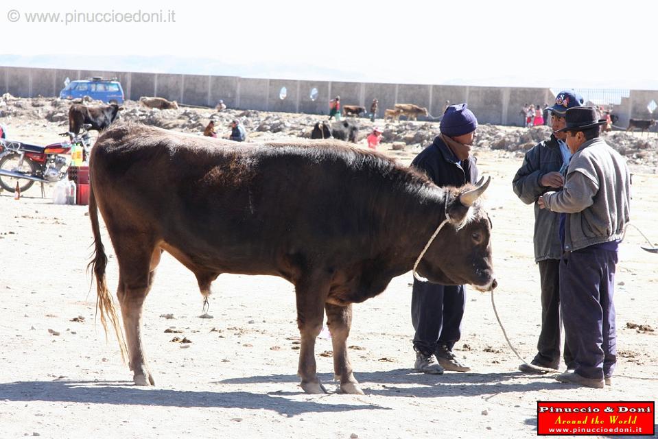 PERU - Mercado de los toros - 03.jpg